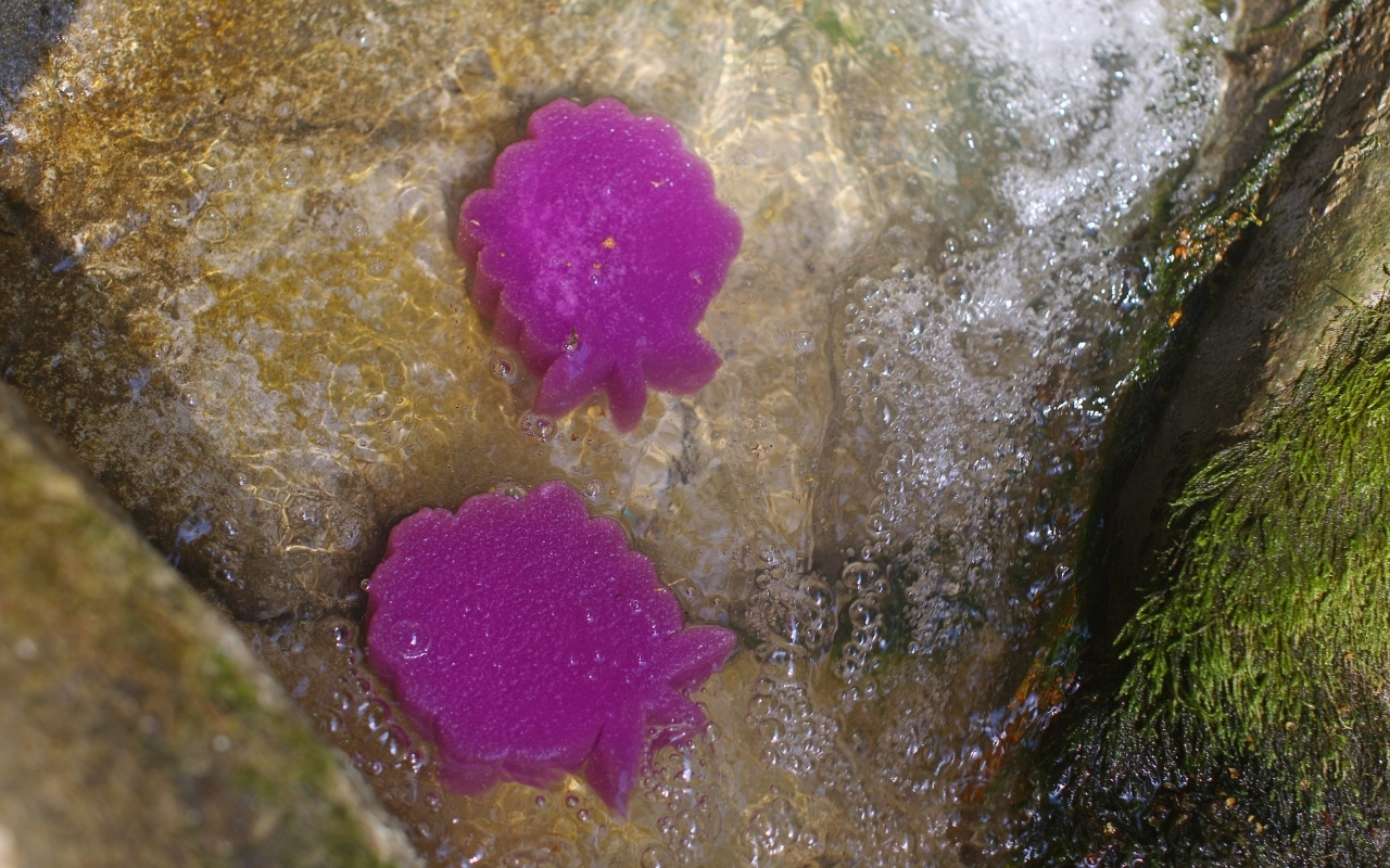 Mr. Mattress Wings M фото 3